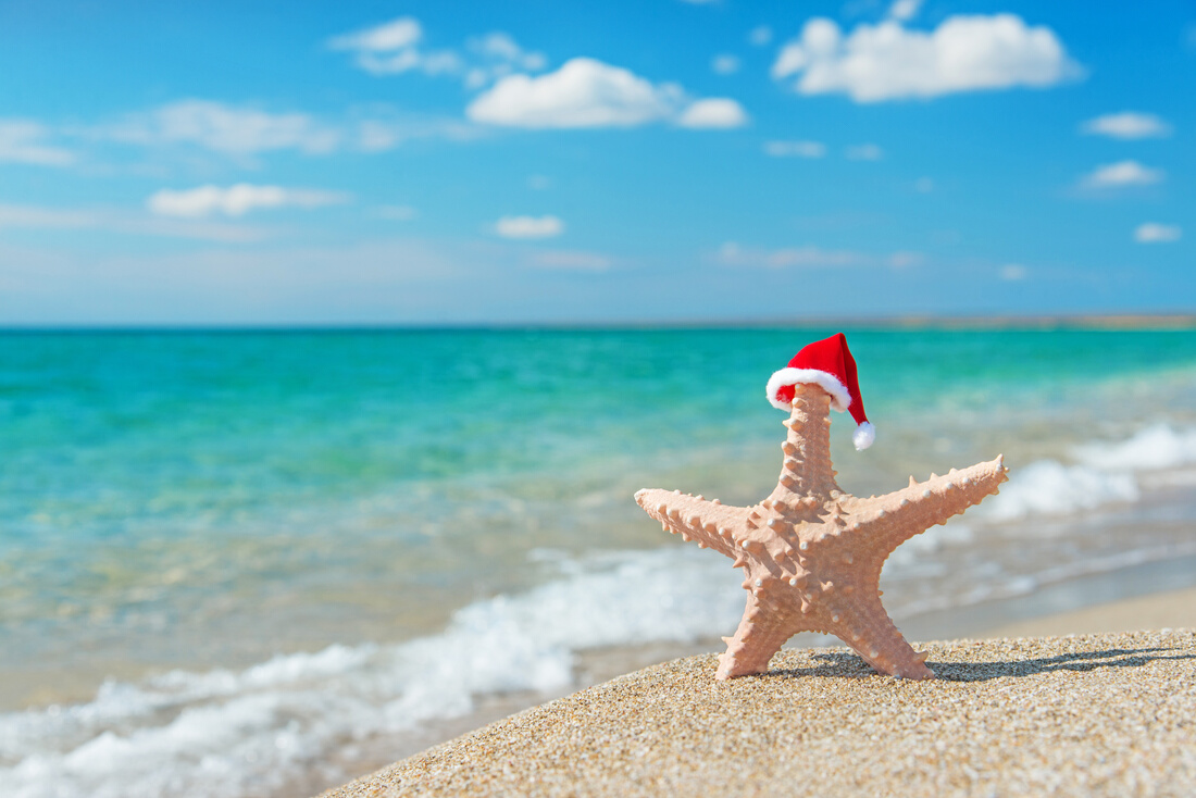 Sea-star in santa hat at sea beach. Holiday christmas concept